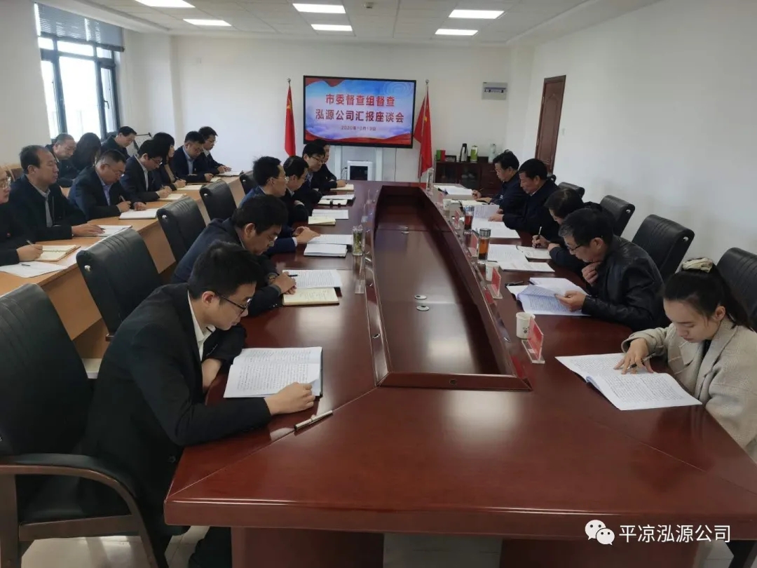 市委辦公室、市政府國資委督查泓源公司工作(圖4)